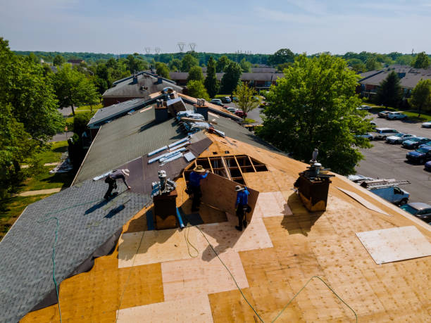Roof Gutter Cleaning in Lyndhurst, OH